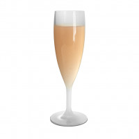 58x Champagnergläser Sektflöten 16cl Kunststoff BPA Frei PP Frosted Mehrweg Ø 6.7 cm · 19.5 cm